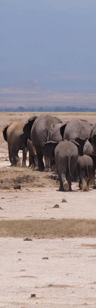 Kenia: Nairobi bis Mombasa mit Zug und Jeep